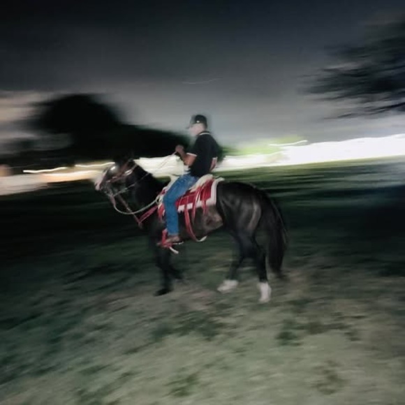 Meet your Posher, Hugo - Picture 1 of 1